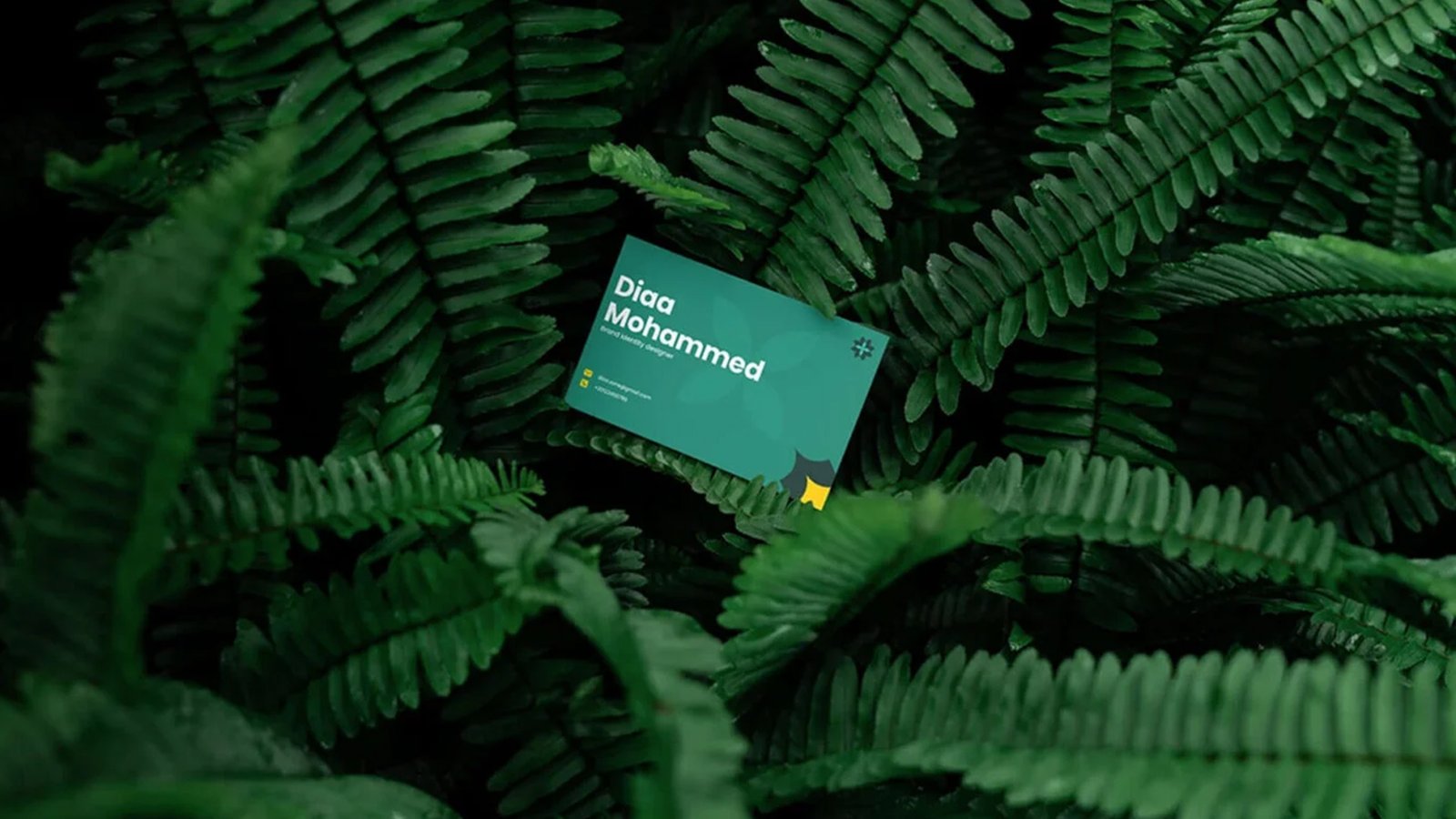 Portfolio Performance Display Asset