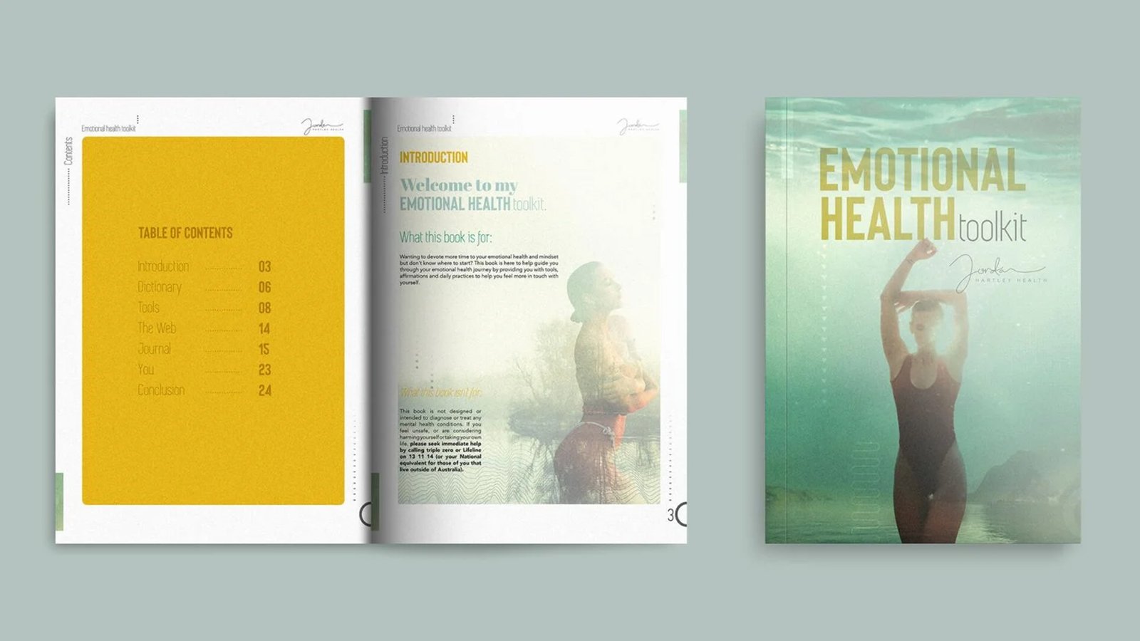 Portfolio Performance Display Asset