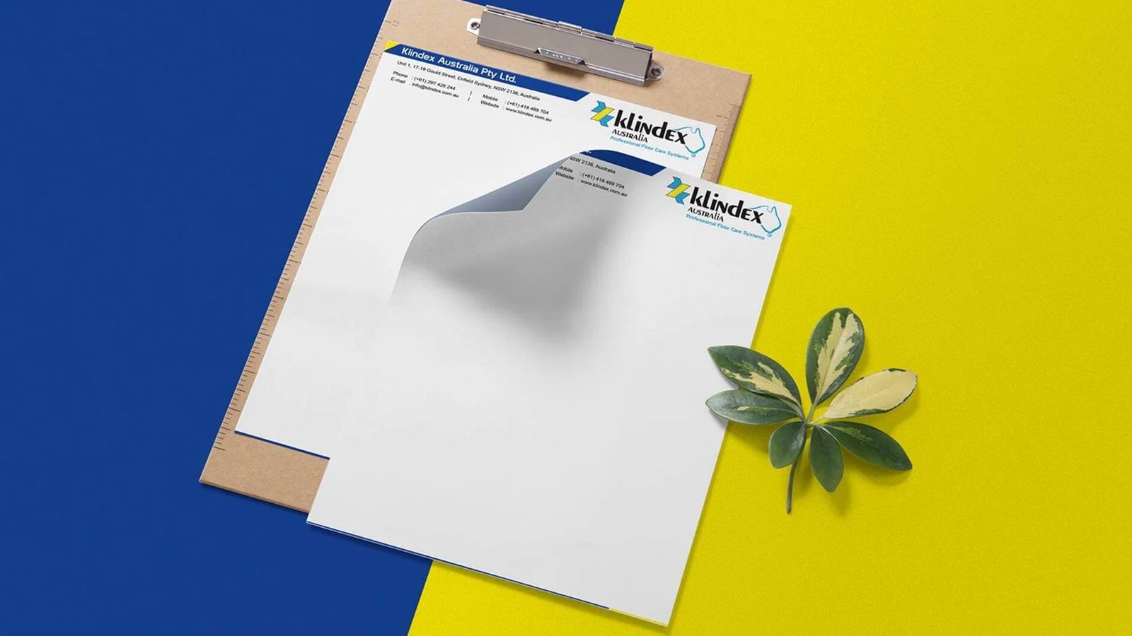 Portfolio Performance Display Asset